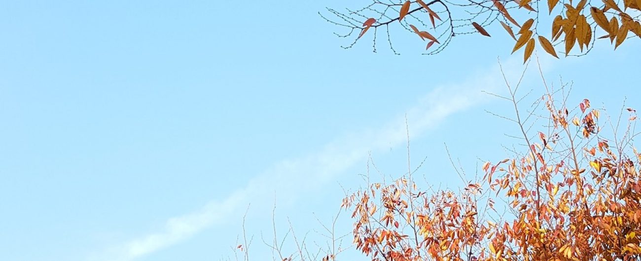 featured_191014